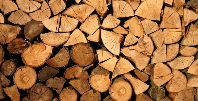 The Power of Kindling: 5 Reasons Why Firewood is Perfect for the Winter Season